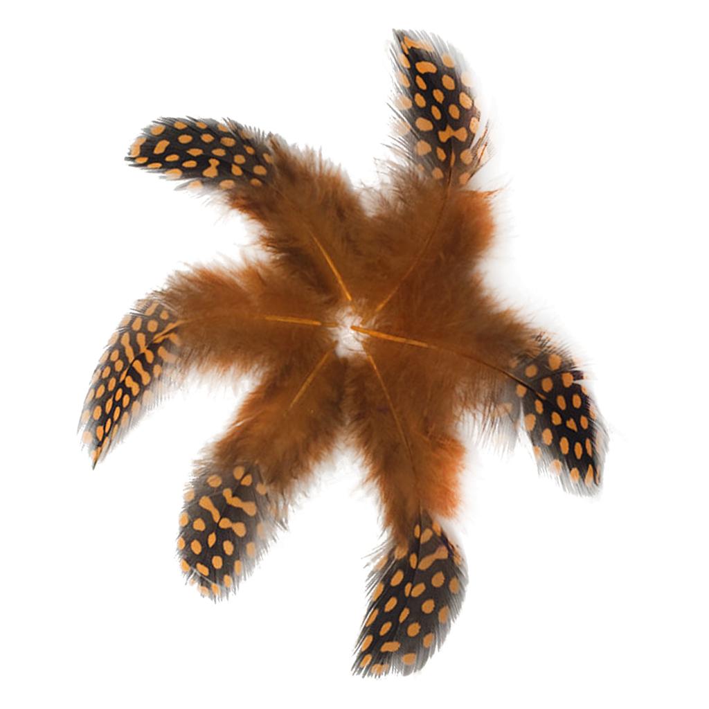 Set of 50 Pheasant Rooster Feathers Chicken Feathers Costume Millinery Craft