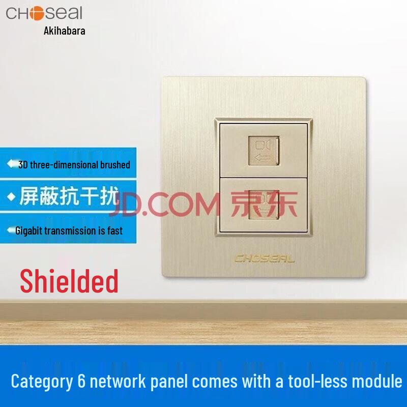 Qiuye Yuan Cat6 Shielded Dual-Port Network Wall Plate