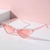 Trendy Cat Eye Women's Sunglasses Hip Hop Retro UV400 Sun Glasses Eyewear Men Women Fashion Travel Sunproof Goggle Shades