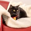 Universal Pet Blanket for Cats and Dogs Soft Warm for Cuddling Anti Cold Cozy Bed Cover Machine Washable Pet Mat for Kennel