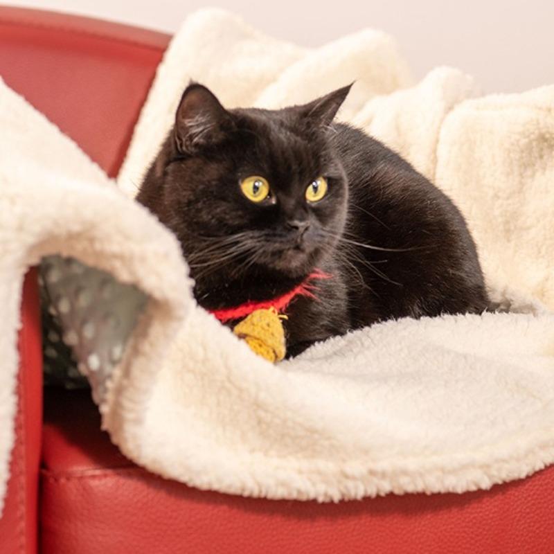 Universal Pet Blanket for Cats and Dogs Soft Warm for Cuddling Anti Cold Cozy Bed Cover Machine Washable Pet Mat for Kennel