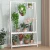 Oshuomai Carbonized Bamboo Multi-Tier Ladder Plant Stand