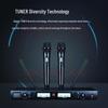TAKSTAR TS-8819HH Dual Wireless Microphone System (CN version)
