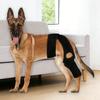 Breathable Adjustable Pet Joint Protection Covers Comfortable Dog Knee Brace Rear Leg Brace Dog Arthritisd Protector Leg Wrap