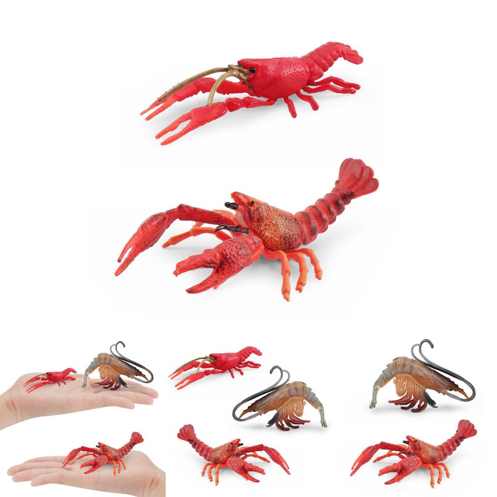 Detailed Plastic Lobster And Shrimp Models For Realistic Aquatic Themed Decor
