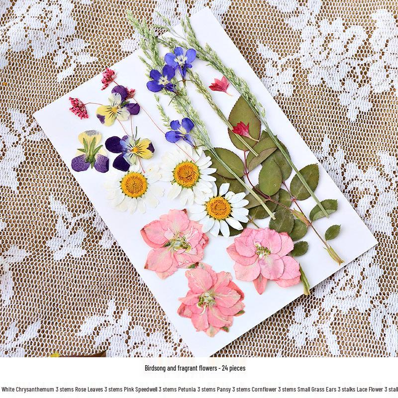 Nordic Creative DIY 3D Dried Flower Frame Kit - Simple Metal & Glass with Glue