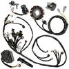 Wire Harness Stator Regulator Coil Kit Compatible with Yamaha YFZ450 YFZ450SPV YFZ450V 2006 for OffRoad Motorcycle Electrical S