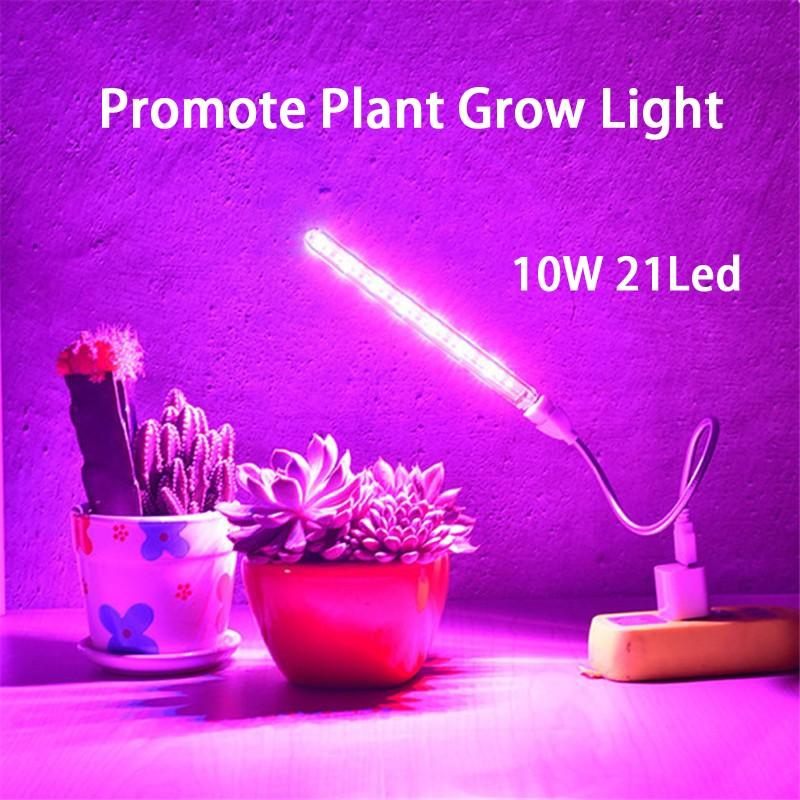 grow light portable light