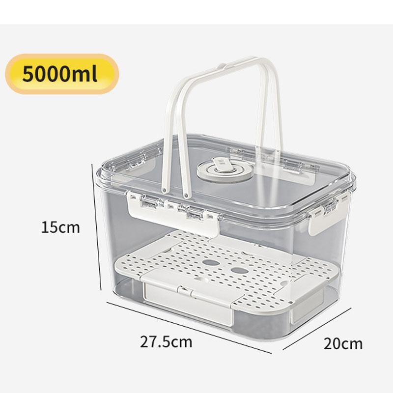 

Portable Handheld Fresh-Keeping Box, Food Grade Sealed Bento Container, Outdoor Camping Refrigerated Fruit Storage Box