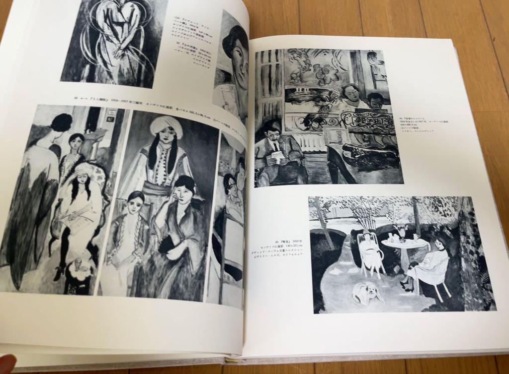[USED] Matisse Henri Matisse Matisse Art Collection