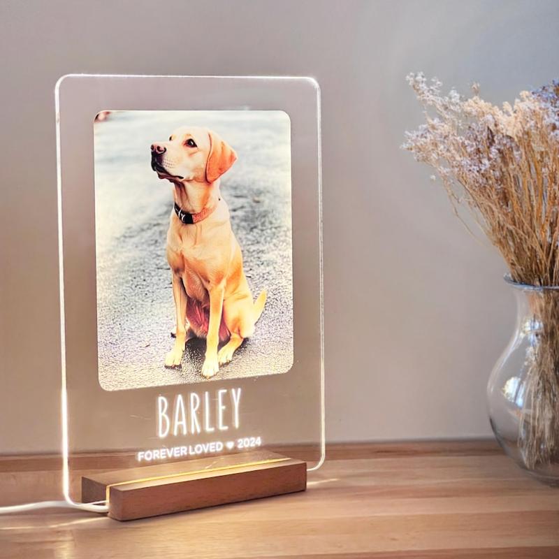 Custom Unique Furbaby Art Decor Personalized Animal Token Gift For Home Office Console Porch Nook For Pet Fan Furry Friend Lover