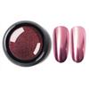 Pro 12 colori specchio metallico glitter polvere per nail art pigmento decorazione strumento per manicure