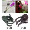 50 Pcs Orchid Clips Clips, Plant Clips for Yard Stem Vines Orchid