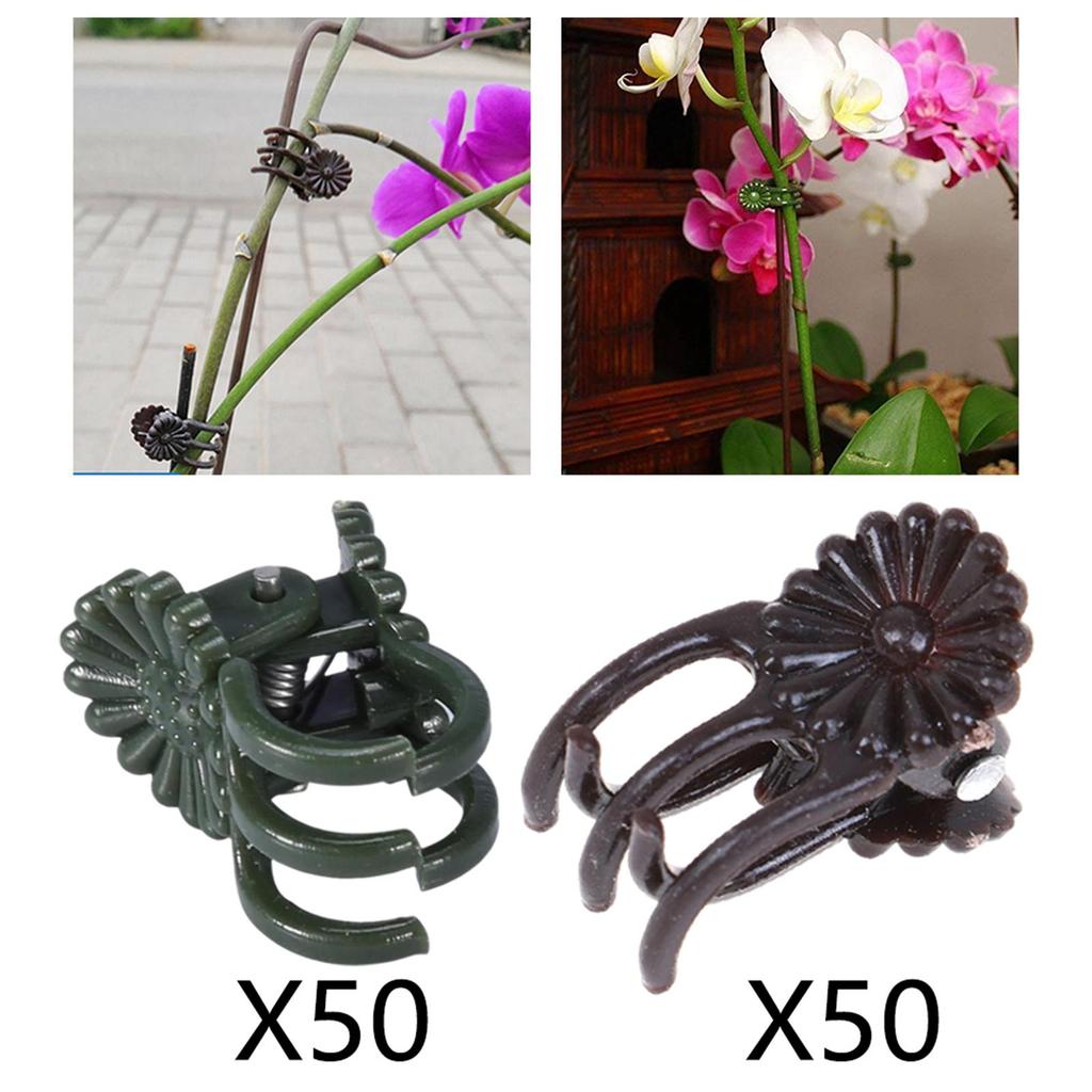 50 Pcs Orchid Clips Clips, Plant Clips for Yard Stem Vines Orchid
