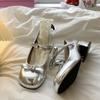 Dicke hohe Absätze Retro leichter Mund mit Rock Einzelne Schuhe Damen 2025 neu Sommer Französisch Silber Mary Jane kleine Lederschuhe