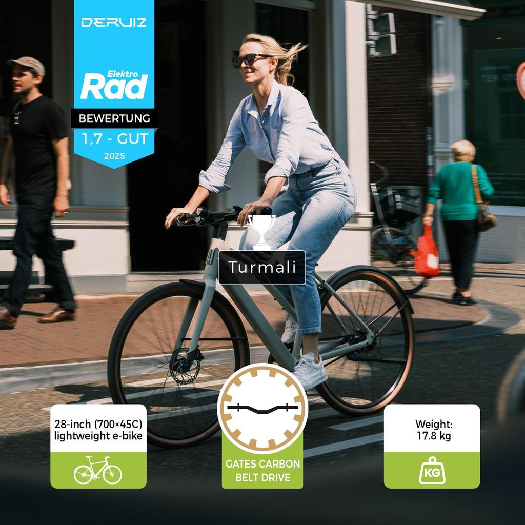 Electric Bicycle DERUIZ Turmali-Premium s 28"250W Motor City EBike ,58cm Frame, 360Wh Battery,Max  Range 110km Load 130kg