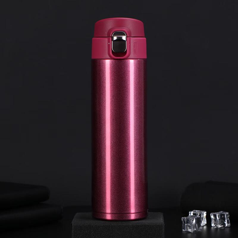 TLAKEHO 500ml Stainless Steel Portable Water Bottle