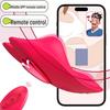 Love Heart Wearable Wireless Remote Vibrator & Magnetic Suction Panties for Women.