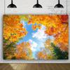 One item 2D party background autumn decoration background flag autumn leaves wind party decoration.PMJ