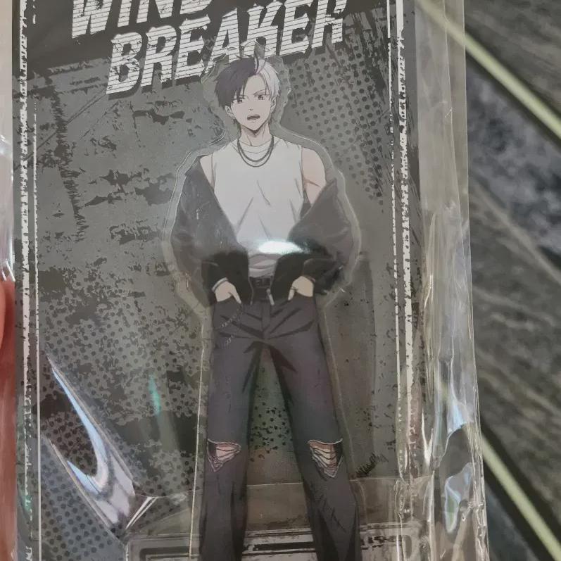 

Winbre Sakura Trivillage Рок Кожа Акриловая Ветровка