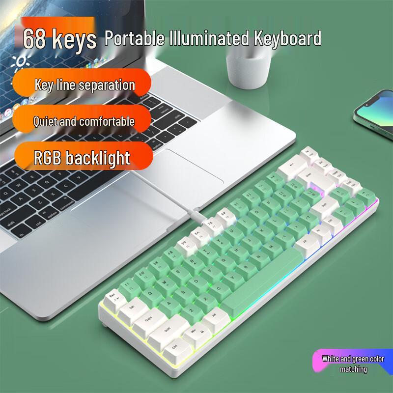 Y-FRUITFUL 68-Key Two-Tone RGB Mechanical Feel Gaming Keyboard