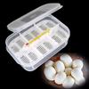 12 Holes Reptile Egg Incubation Tray with Thermometer Incubation Tool for Gecko Lizard Snake Eggs
