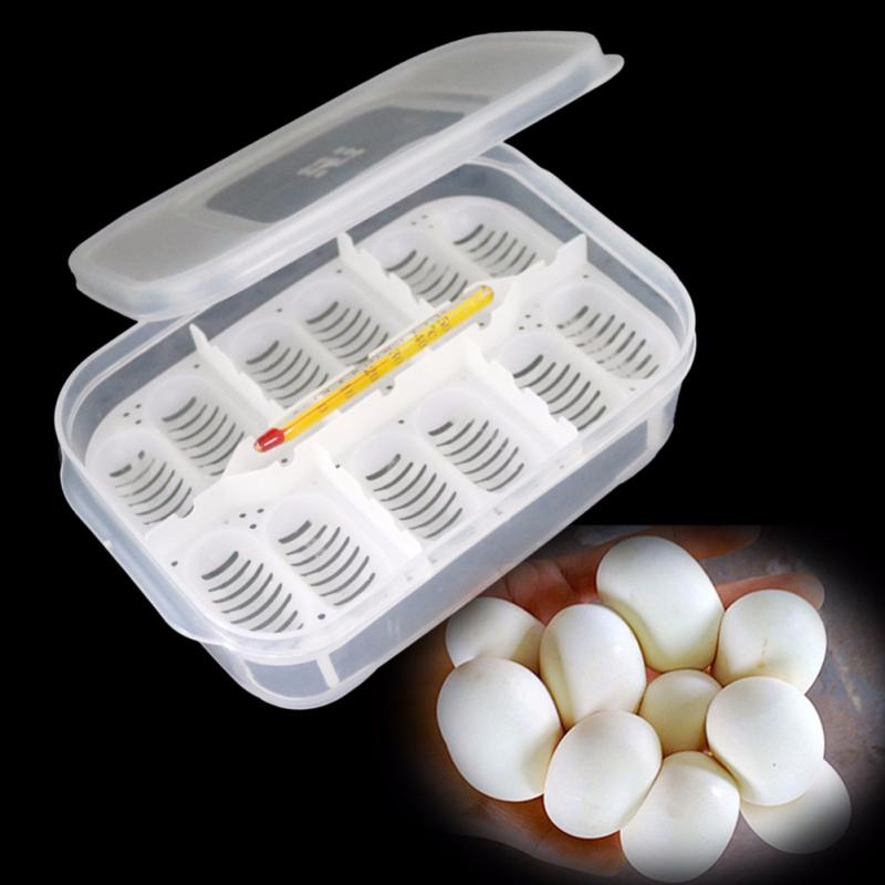 12 Holes Reptile Egg Incubation Tray with Thermometer Incubation Tool for Gecko Lizard Snake Eggs
