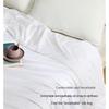 Mercury Antibacterial Mulberry Silk Quilt