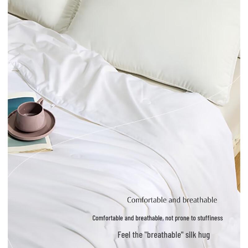 Mercury Antibacterial Mulberry Silk Quilt