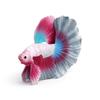 Mini Betta Fish Statue for Shelf Decors, Colorful PVC Tropics Fish Model Ornament with Realistic Detail for Desk and Living Space