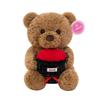 Doll Gift Bear Birthday Teddy Bear Cute Pillow Doll For Girlfriend Valentine Day