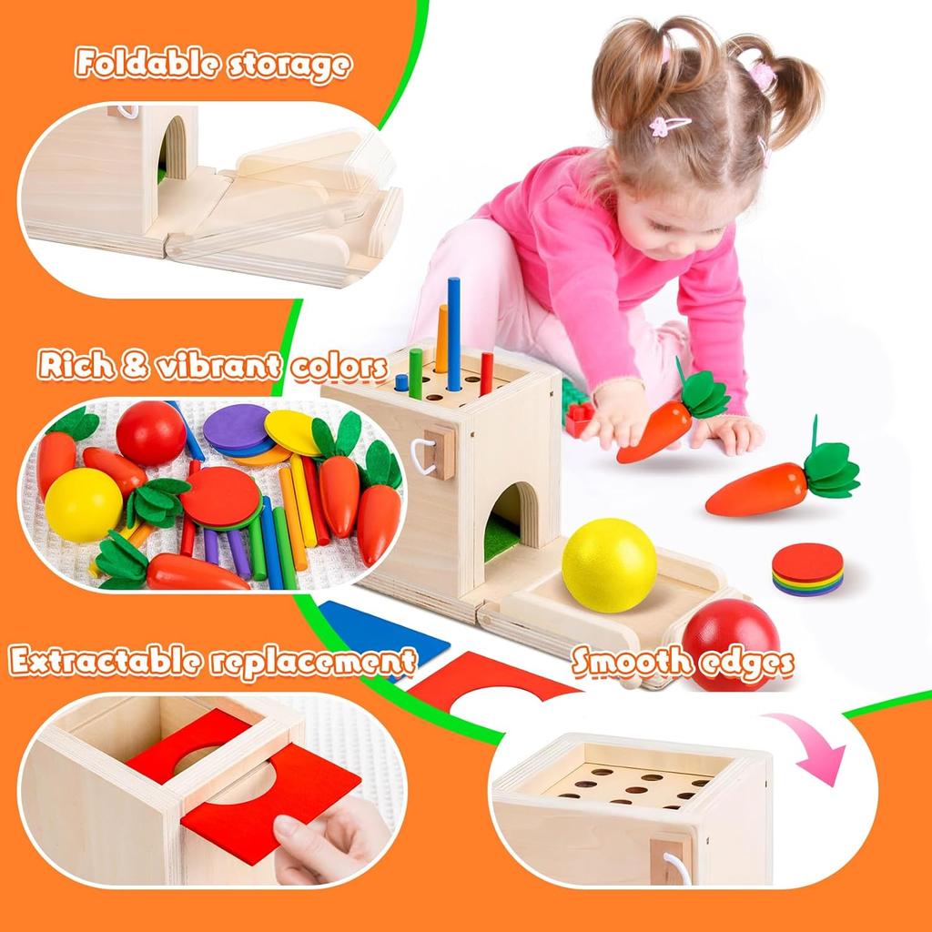 Montessori Toys Play Kit Sorting & Matching Toys Coin Ball Box Multi-function Stick Pull Radish Game Baby Learning Toys