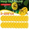 Piège Attrape-guêpes Réutilisable, Entonnoir Tueur d'Insectes en Plastique, Attrape-abeilles et Frelons Design Fleur pour Jardin Extérieur Maison Cour