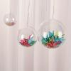 20pcs Clear Plastic Fillable Ornaments for Crafts Christmas Ornaments Balls Clear Acrylic DIY Ornaments Christmas Tree Hanging Christmas Decorations