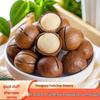 Premium Macadamia Nuts with Creamy Fruit Flavor and Thin Shell
