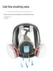 6800 Stijl Beschermend Gasmasker voor Spuitverf, Pesticiden, Chemicaliën, Decoratie en Formaldehyde