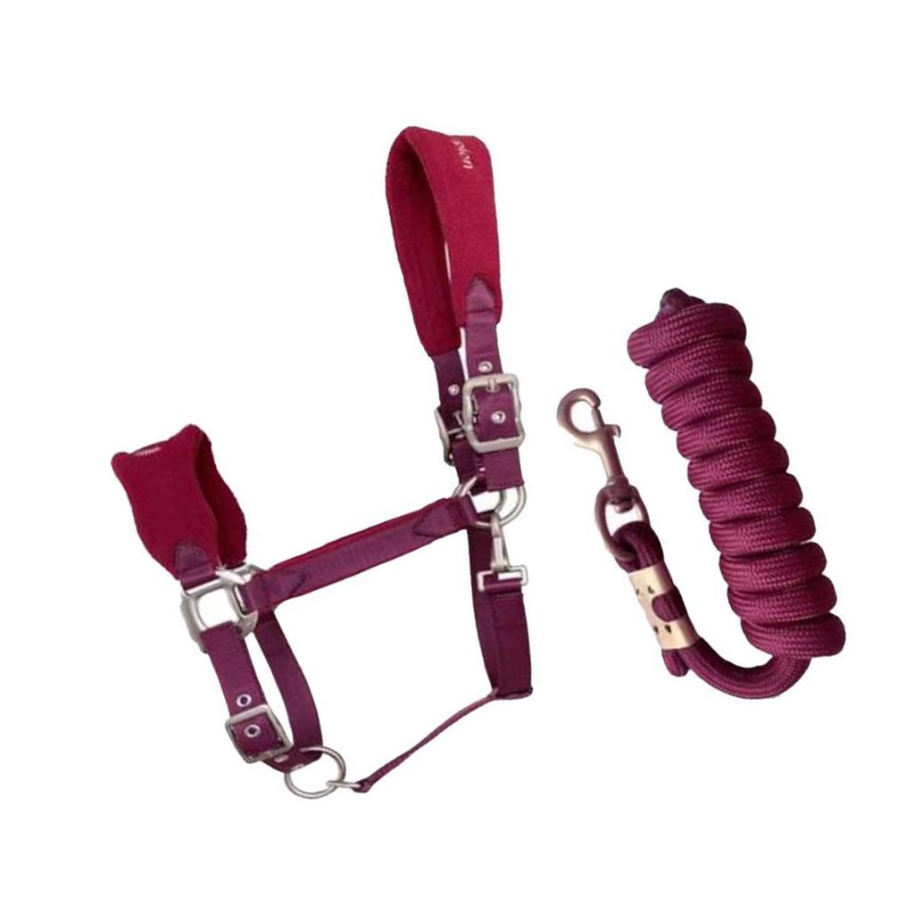 Horse Bridle with Reins Comfortable Headcollar Adjustable Leading Rope red L