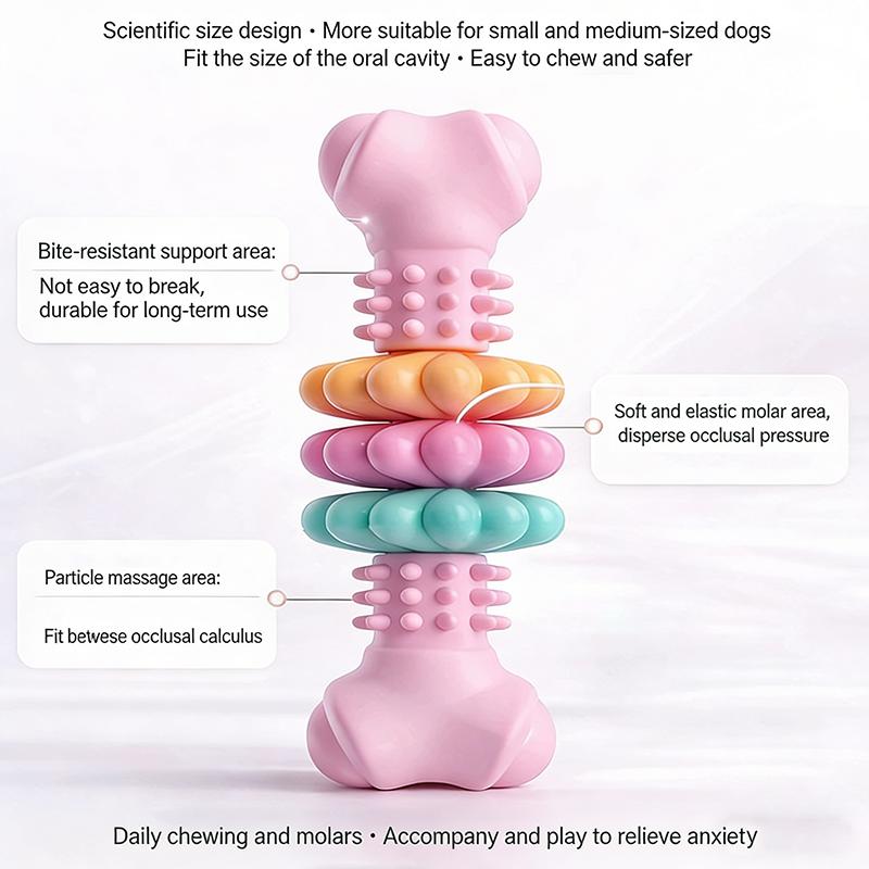 Giocattoli per animali domestici Masticazione per cani Osso carnoso Giocattoli Osso in TPR Tipo Multi-pezzi di carne Morso Resistente Set Giocattolo per Denti Forniture Giocattolo Osso per Cani