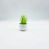 Plastic Succulent Miniature Plant Desert For Home Decor And Office Use