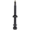 SCHWALBE Tubeless Valve 3471 (Genuine) for Bicycles, Black, 60mm Valve Length