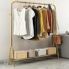 Light Luxury Metal Garment Rack with Shoe Shelf and Drying Bar