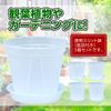 nijimomo Flower Pot Set of 5 Transparent Plastic Slit Pot with Bottom Plate for Houseplants Lightweight 4 5 No. No. (No. 4)