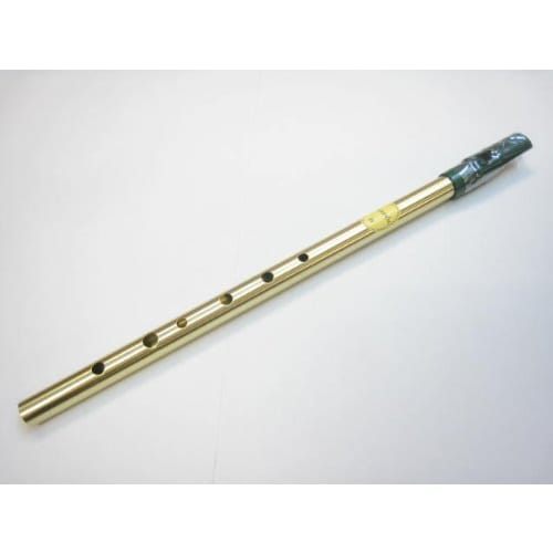 

Koizumi Feadog Tin Whistle in D, Irish Whistle, Folk Instrument
