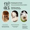 Self Cleaning Cat Brush Pet Grooming Comb with Stainless Steel Dense Teeth Detangling Comb Removes Loose Fur for Dogs Cats Flea