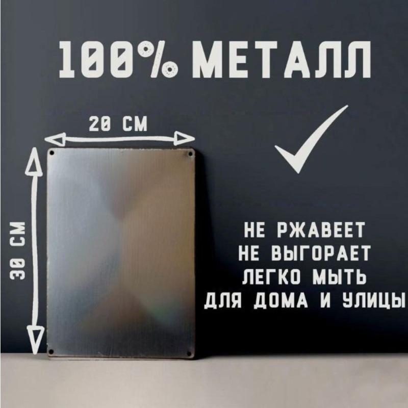 Tin Sign Art Metal Wall Decor 20x30cm Retro Vintage Painting