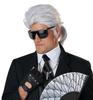 California Costumes Designer/Musician/Aristocrat/Musician Men's Wig, Gray/White, 7024-044