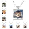 Fashion Cute Cats Patten Square Shape Glass Pendant Necklace Cute Animal Alloy Necklace Charms Jewelry Gifts Accessories
