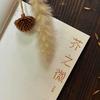 Mustard Seed: Life and Love of Today's Grassroots Workers by Li Zhizhan