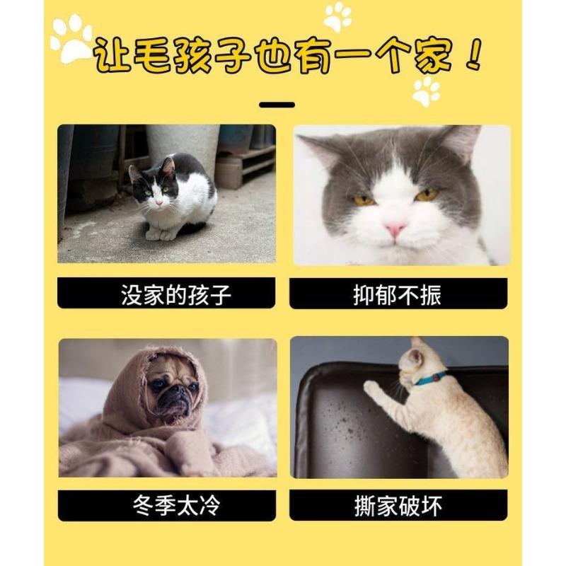 Multifunctional Semi Enclosed Wear Resistant Felt Cat Bed Cat Tunnel For All Seasons