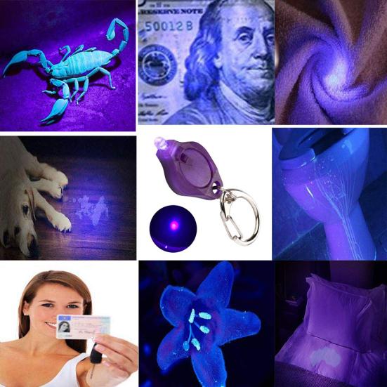 Tragbarer UV-Währungsdetektor für den Außenbereich, Mini-LED-Taschenlampe, Schlüsselanhänger, Nachtlicht